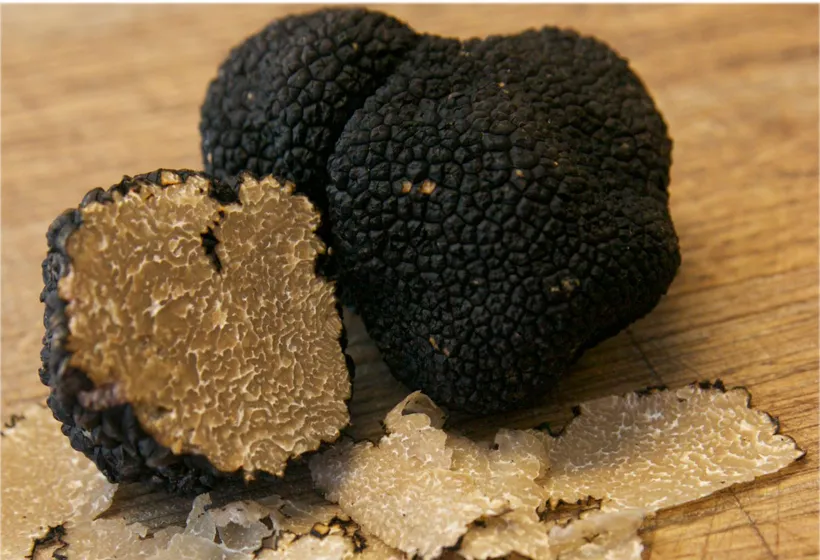 Burgundertrüffel aus Italien