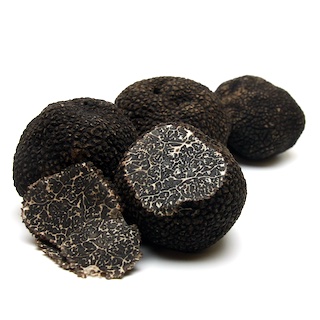 Perigord-Trüffel (Tuber melanosporum Vitt.)